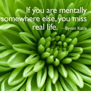 Meet your Posher, Melinda